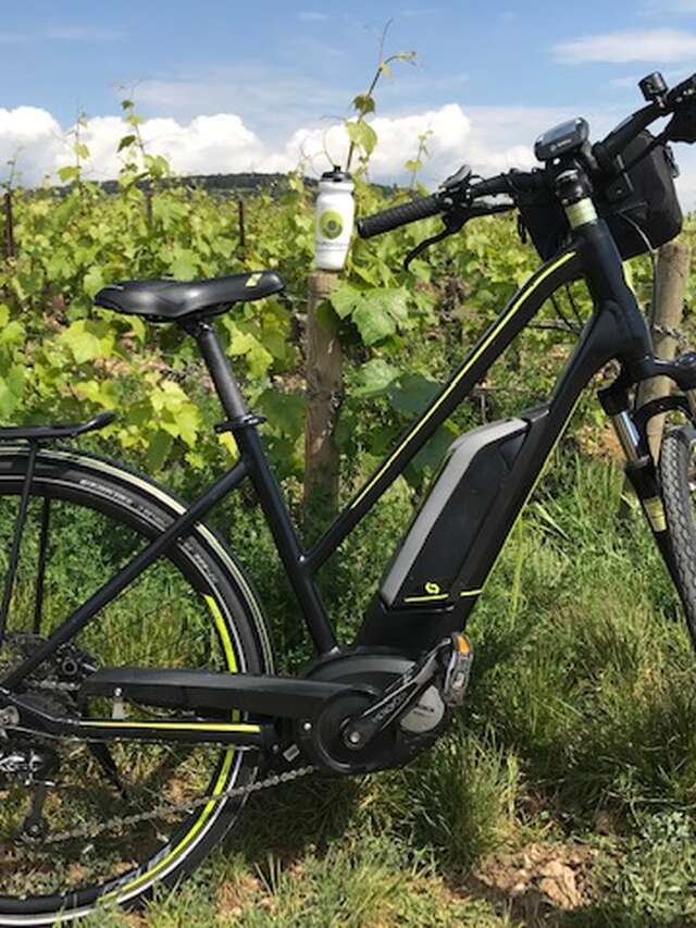 Bourgogne Randonnées