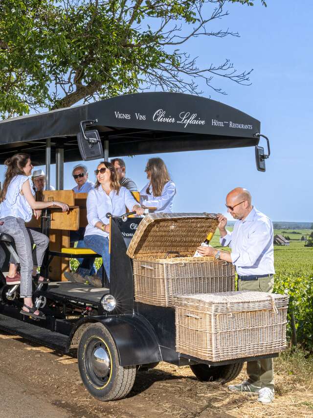 Olivier Leflaive - Wine Bike Experience