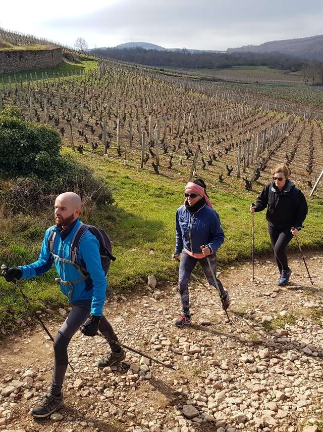 En pleine nature - marche nordique