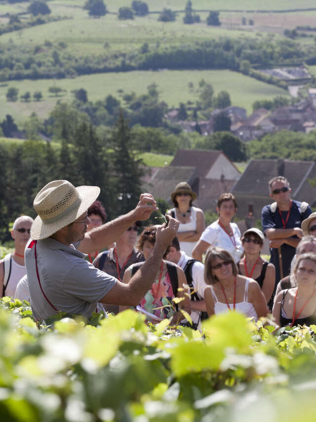 OeNolay tour - Cœur des Hautes Côtes de Beaune