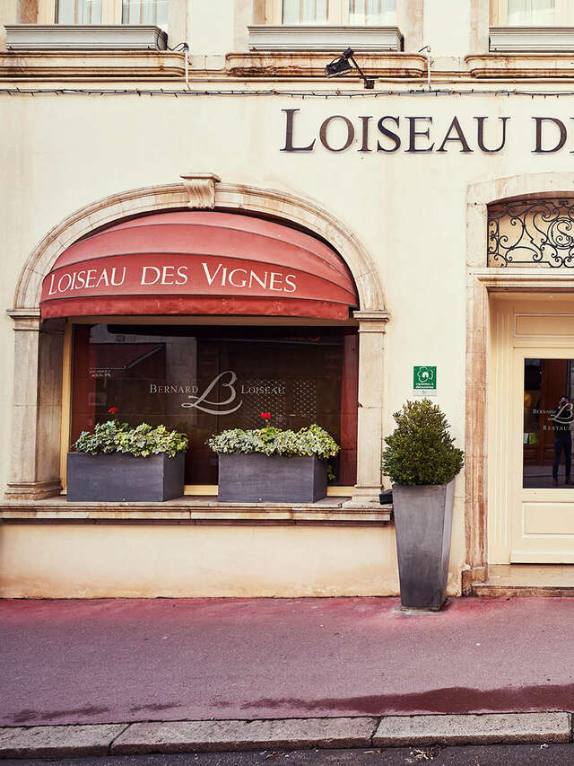 Loiseau des Vignes