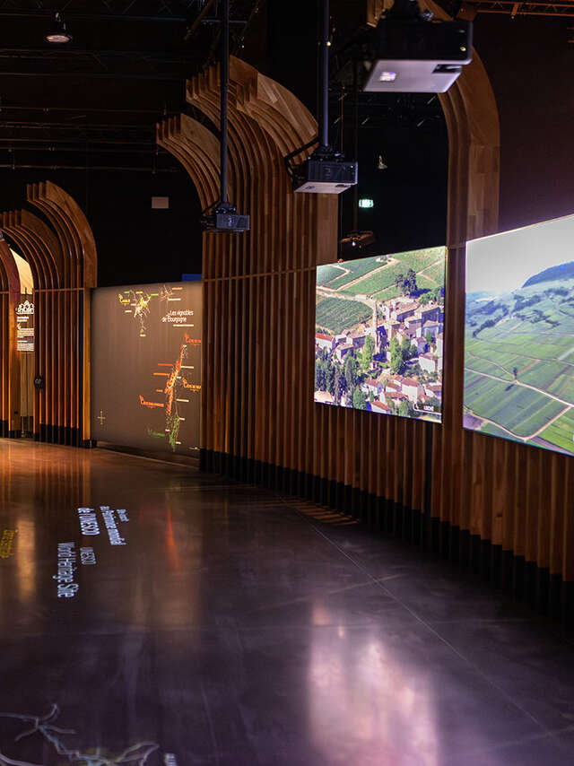 Vignobles en scène à la Cité des Climats et vins à Beaune