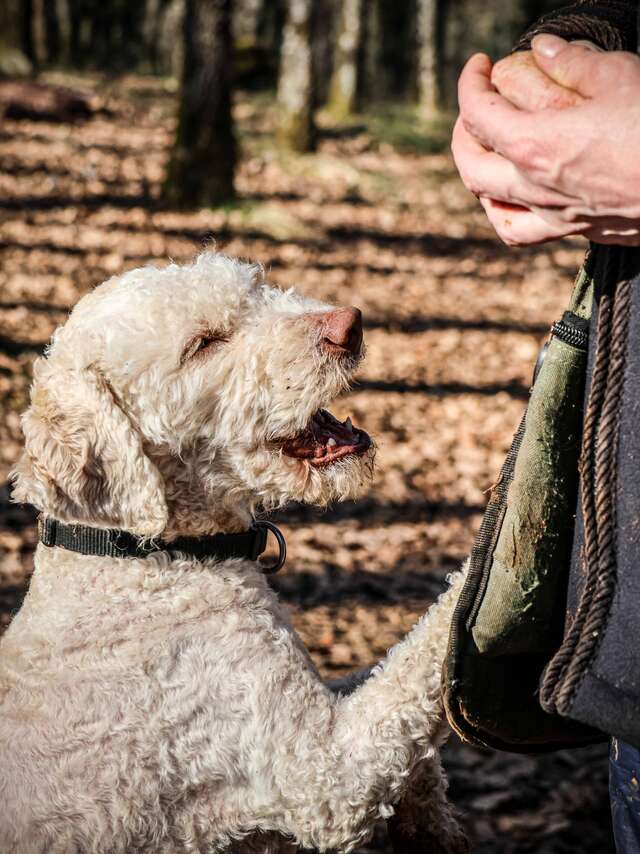 Maison aux Mille Truffes
