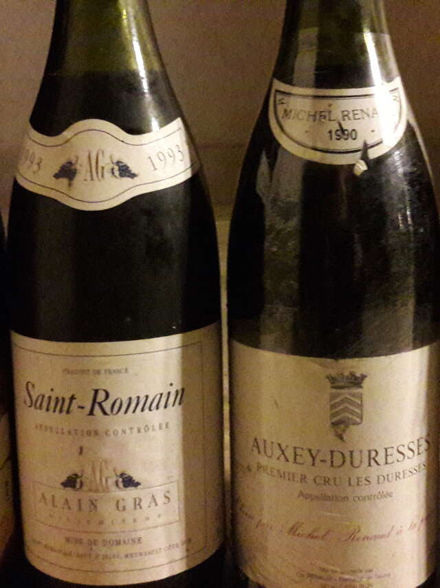 Journée guidée dans les vignes en Côte de Nuits