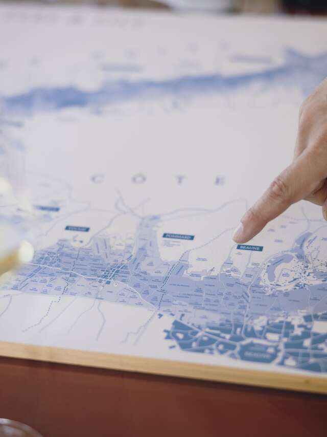 Domaine Chanson - Dégustation Prestige