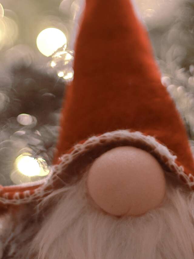 Enquête-Jeu : À la recherche des bonhommes de neige