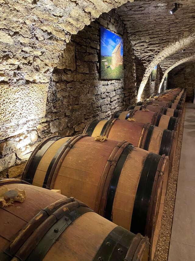 Dégustation musicale aux Caves Saint-Nicolas de la Maison Albert Bichot à Beaune