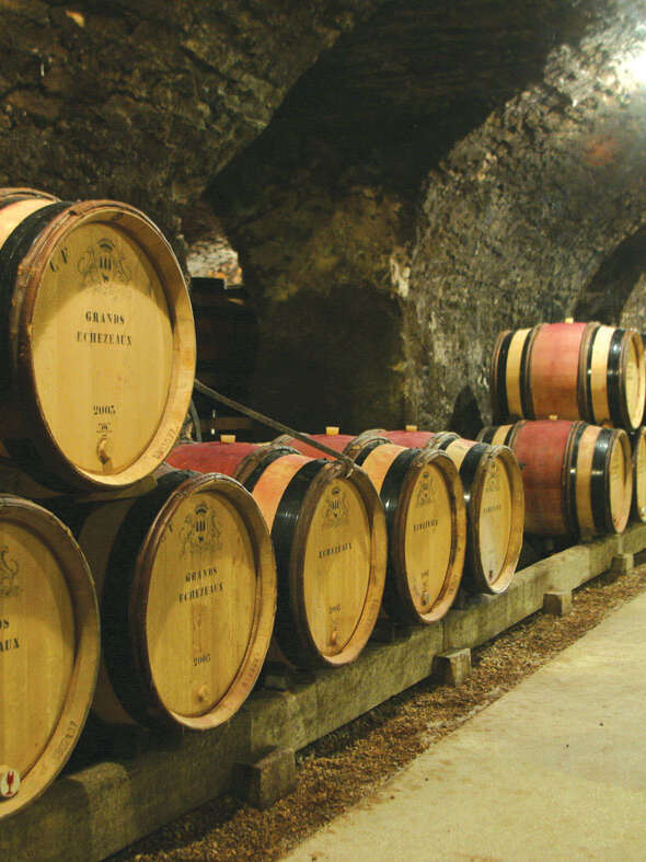 Domaine Henri de Villamont - Vente des vins 2025 - 10 vins, 10 émotions au cœur des caves