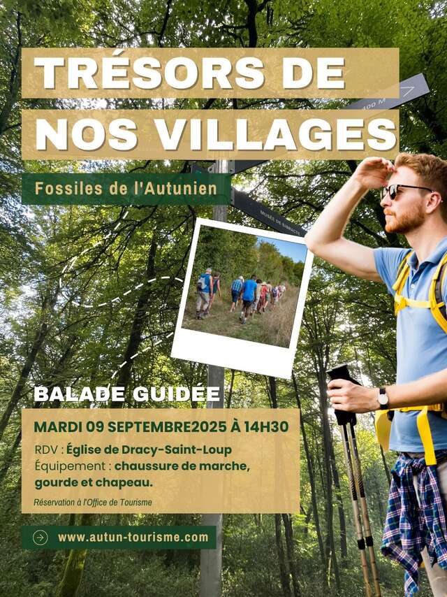 Trésors de nos villages - Fossiles de l'Autunien