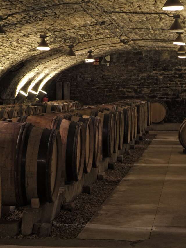 Hôtel-Dieu - Hospices de Beaune
Programmation 2025 - HUMANITÉ
Ateliers des sens "Arômes des caves"