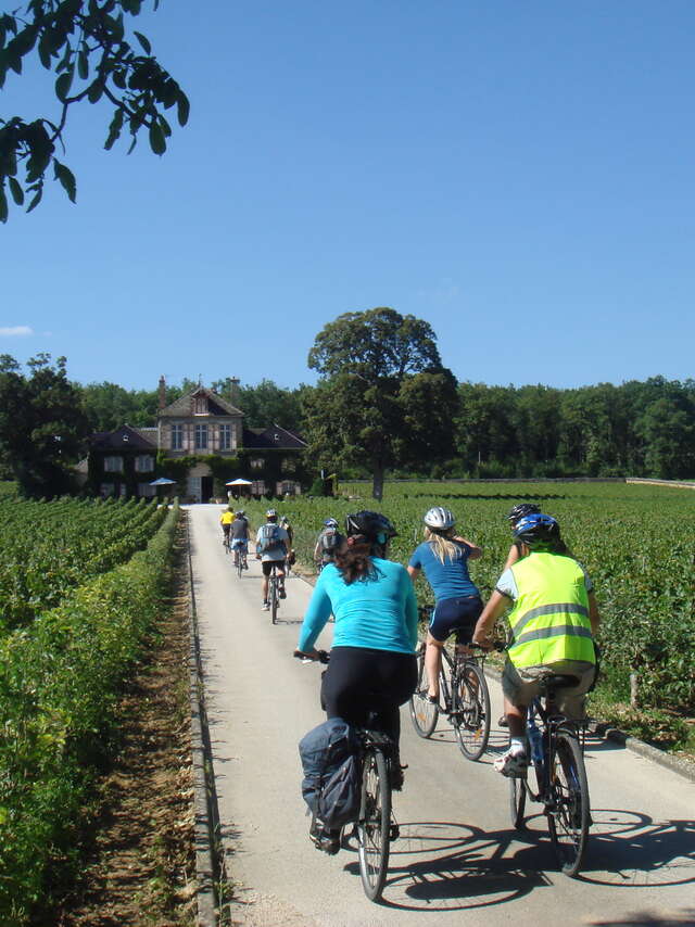 Location vélo : Bourgogne Evasion Beaune by Active Tours