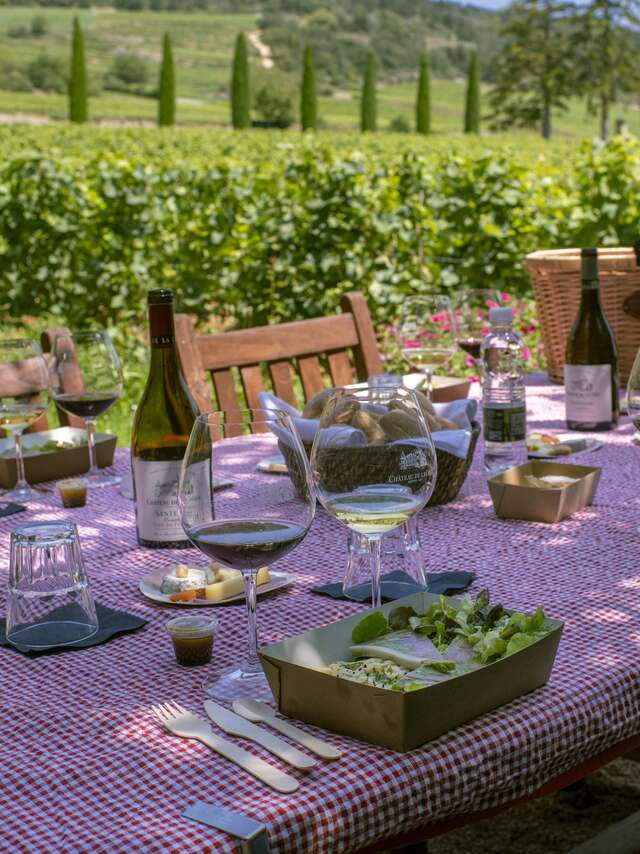 EXPÉRIENCE EN SELLE POUR LES TERROIRS DE SANTENAY & PIQUE-NIQUE - CHÂTEAU DE LA CRÉE