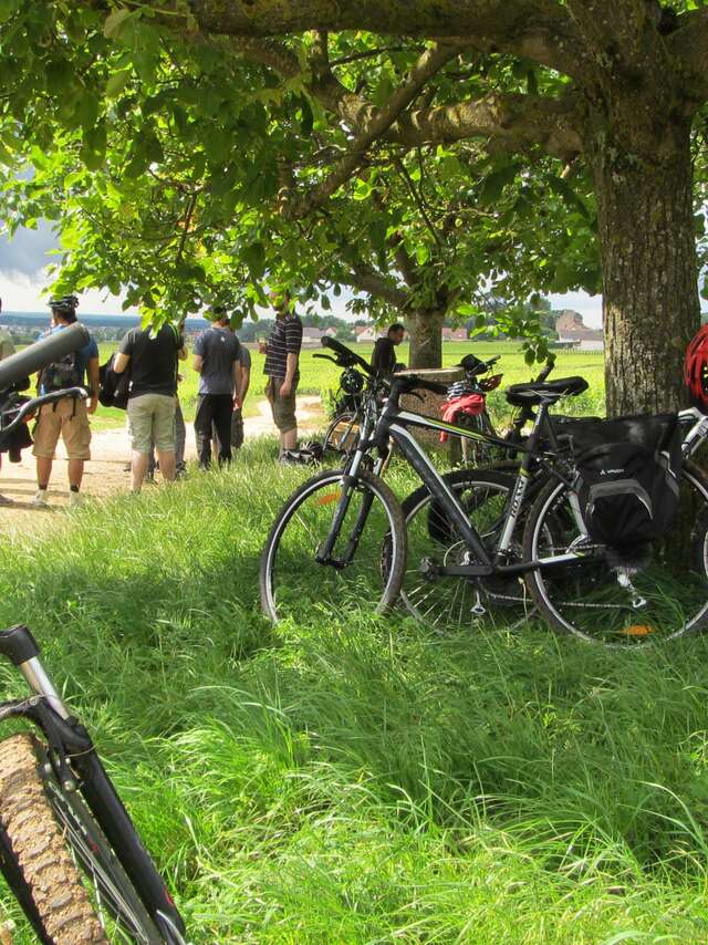 Velovitamine Balades oenologiques "Côte de Nuits Grand Cru" de Nuits-St-Georges à Gevrey Chambertin