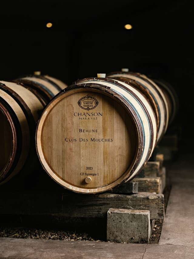 Domaine Chanson - Visite Prestige