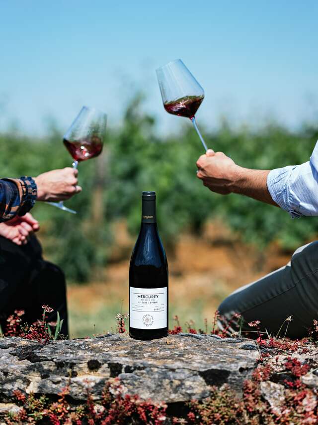 Domaine Chanson - Dégustation Découverte des Terroirs