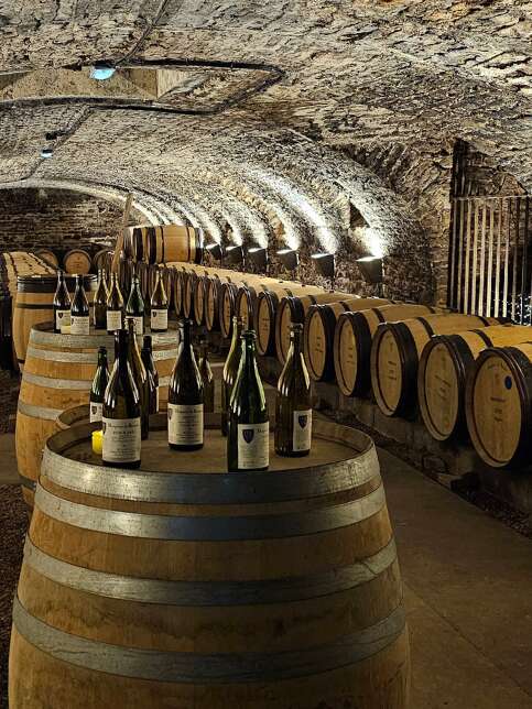 Hôtel-Dieu - Hospices de Beaune 
2026 - MOUVEMENT(S)
[MON HÔTEL-DIEU] Un livre, un vin, un histoire : raconter le territoire bourguignon