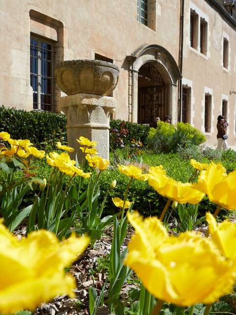 Hôtel-Dieu - Hospices de Beaune
2026 - MOUVEMENT(S)
[ATELIER GUSTATIF] Saveurs du soin