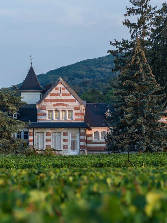 Domaine Henri de Villamont