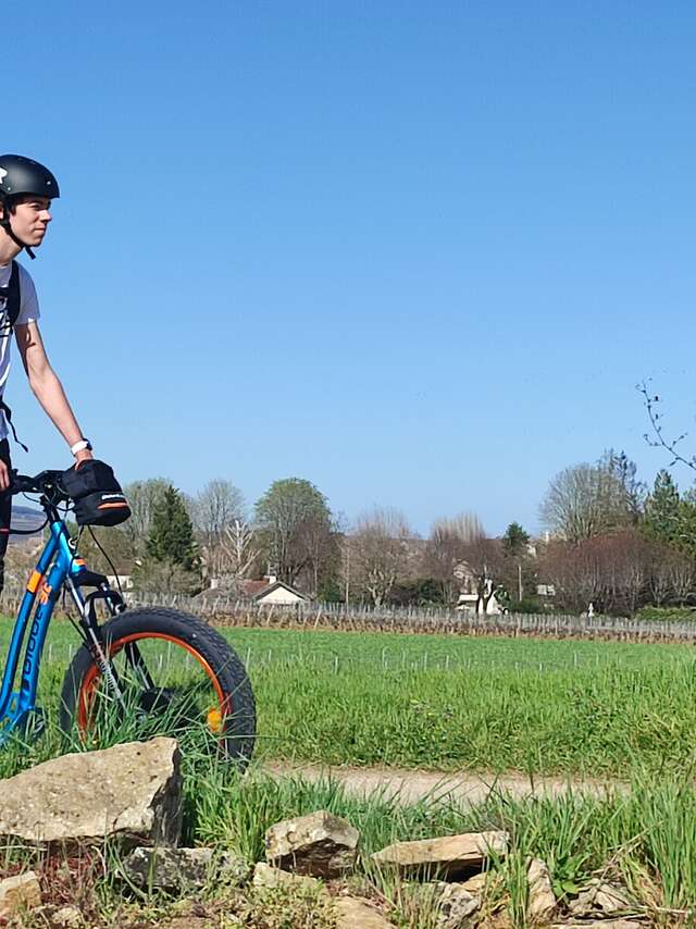 ACTIVE TOURS - Balade en E-Trott dans le vignoble : 2 heures