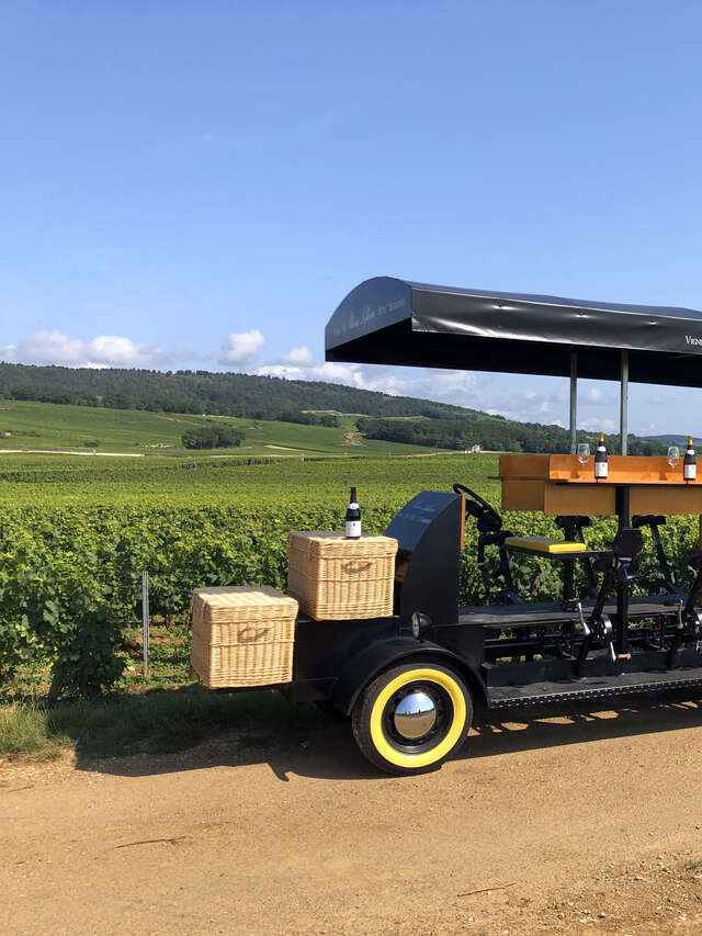 Olivier Leflaive - Wine Bike Experience