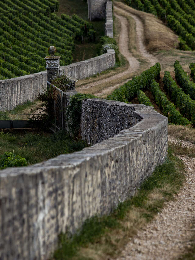 Chemins de Bourgogne - Après-midi en Côte de Nuits
