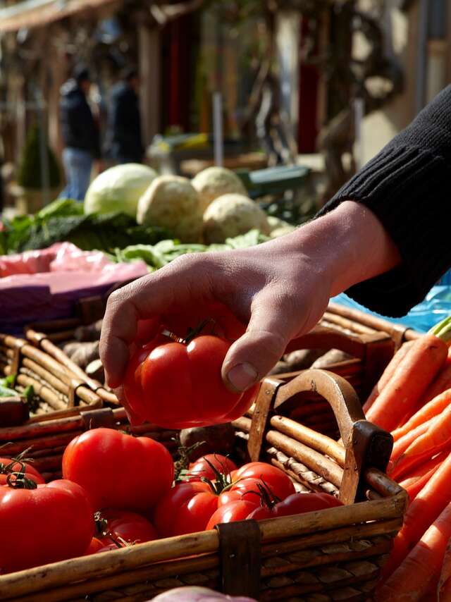 Marché de Santenay