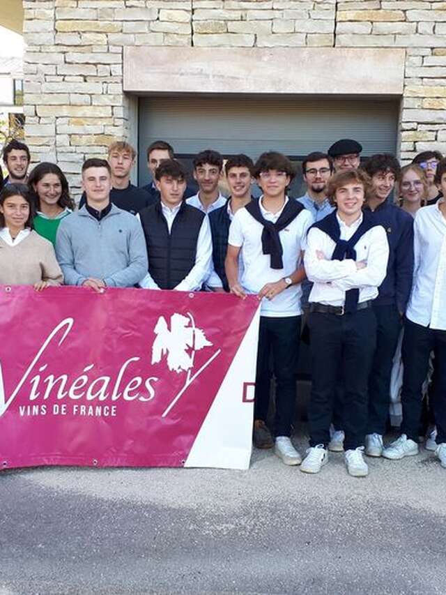 Les Vinéales - 20° édition