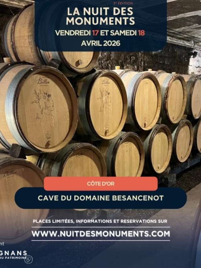 Odyssée viticole nocturne au Domaine Besancenot