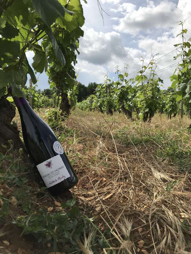 Domaine Richez Nathalie