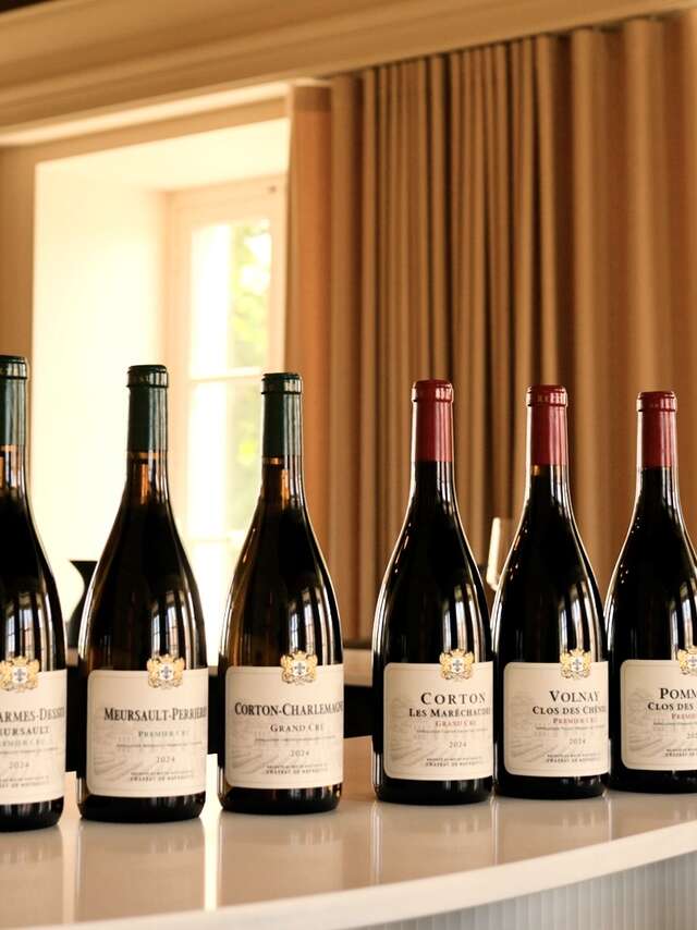 Château de Meursault - Dégustation "Les Trésors de Côte de Beaune"