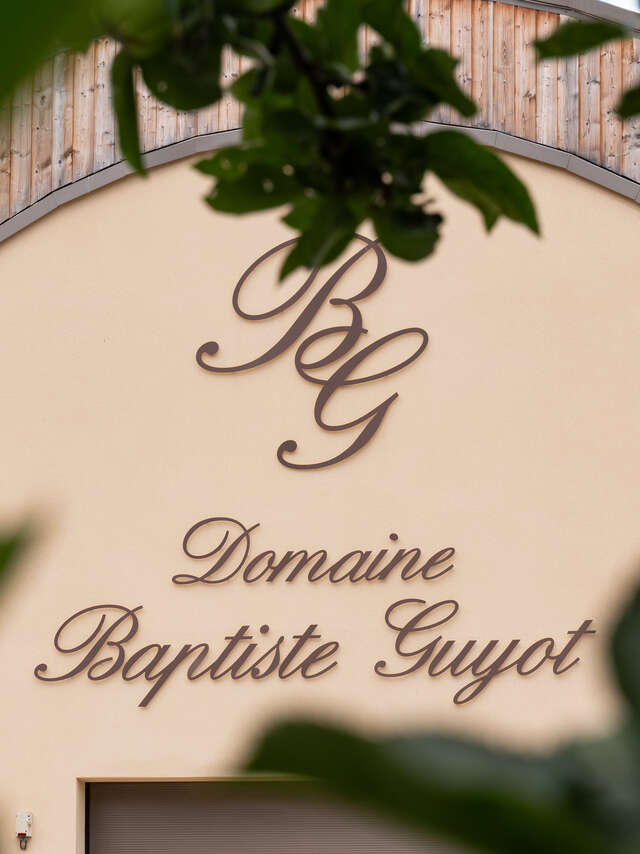 Domaine Guyot Baptiste