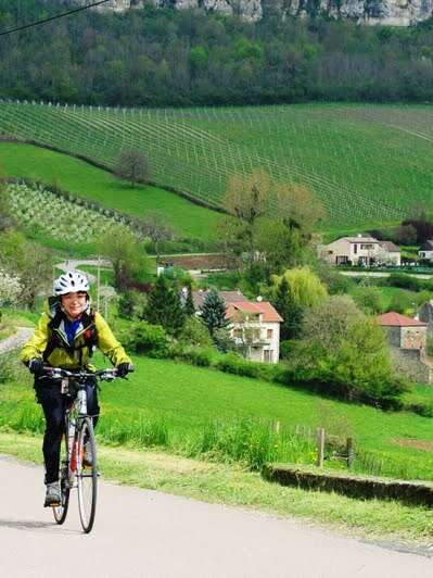 Bike and Wine Tours by Active Tours