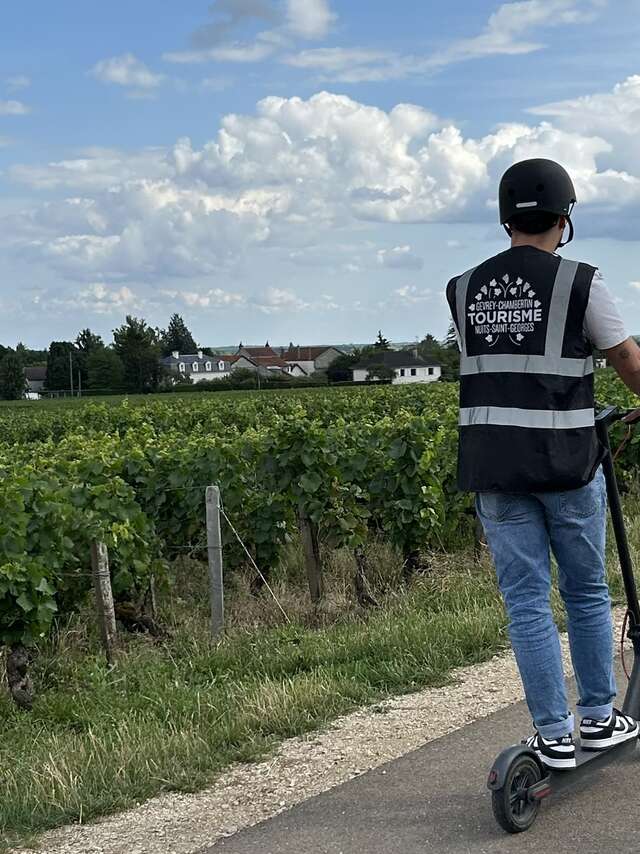 Balade commentée en trottinette électrique au milieu des Grands Crus
