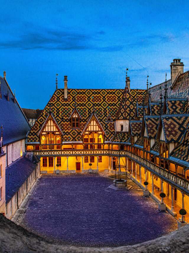 Hôtel-Dieu - Hospices de Beaune 
Programmation 2025
Nuit étoilée / Astronomie