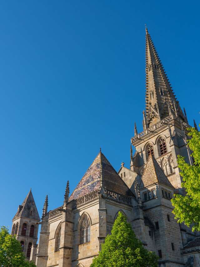 Journées européennes du patrimoine : La grande visite de  la cathédrale Saint-Lazare
