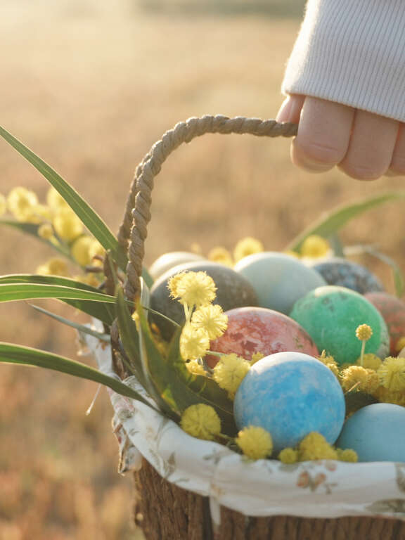 Enquête spéciale Pâques : À la recherche des cloches de Pâques !
