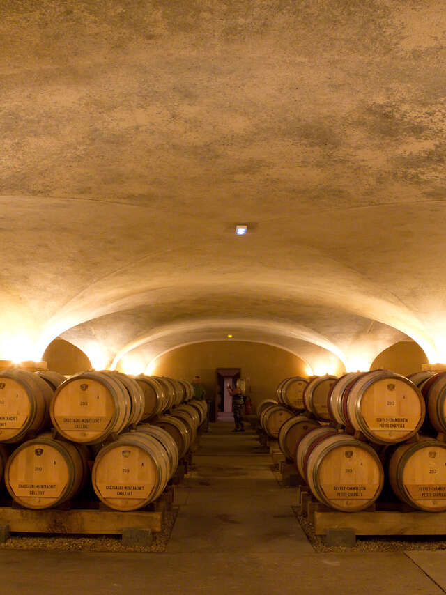LOUIS JADOT - Visite et dégustation pour célébrer la Vente des vins des Hospices de Beaune 2025
