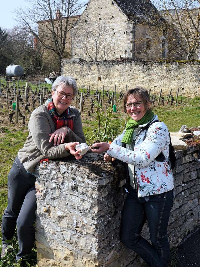 Festival de Bach à Bacchus - La Clé des sols - A la recherche du pinot perdu