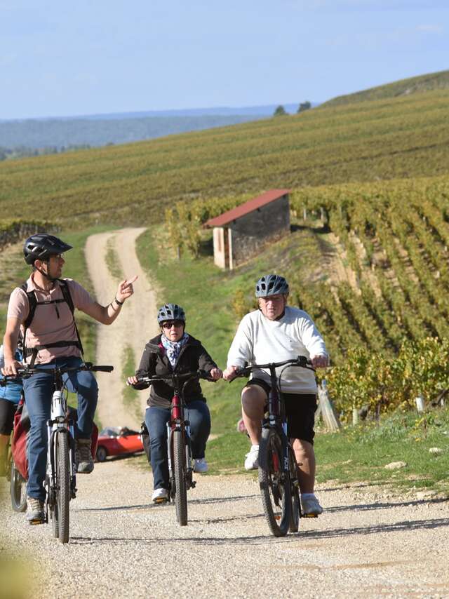 Cycle Divin