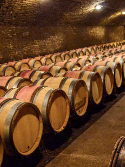 ACTIVE TOURS NUITS