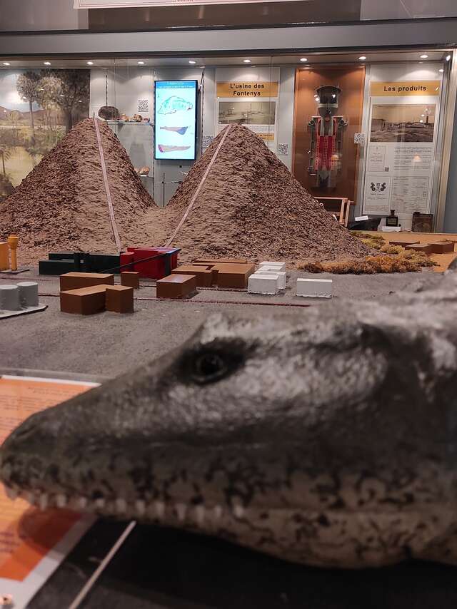 Visite guidée "Les joyaux du Muséum"