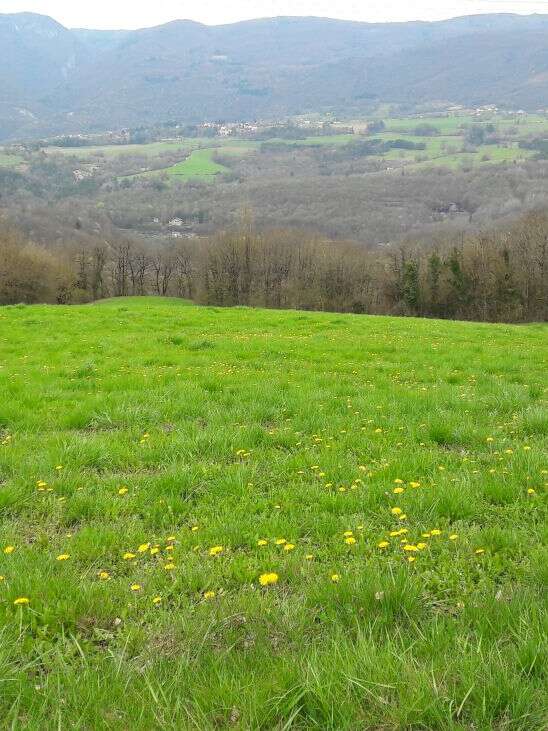 Randonnée pédestre - Le Plateau des Daines