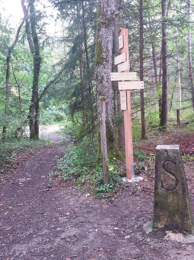 Boucle pédestre : sur le sentier des Douanes