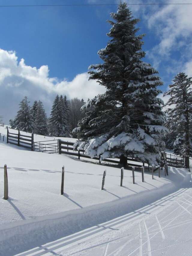 Ski de fond à la Croisette - Piste rouge - Croisette