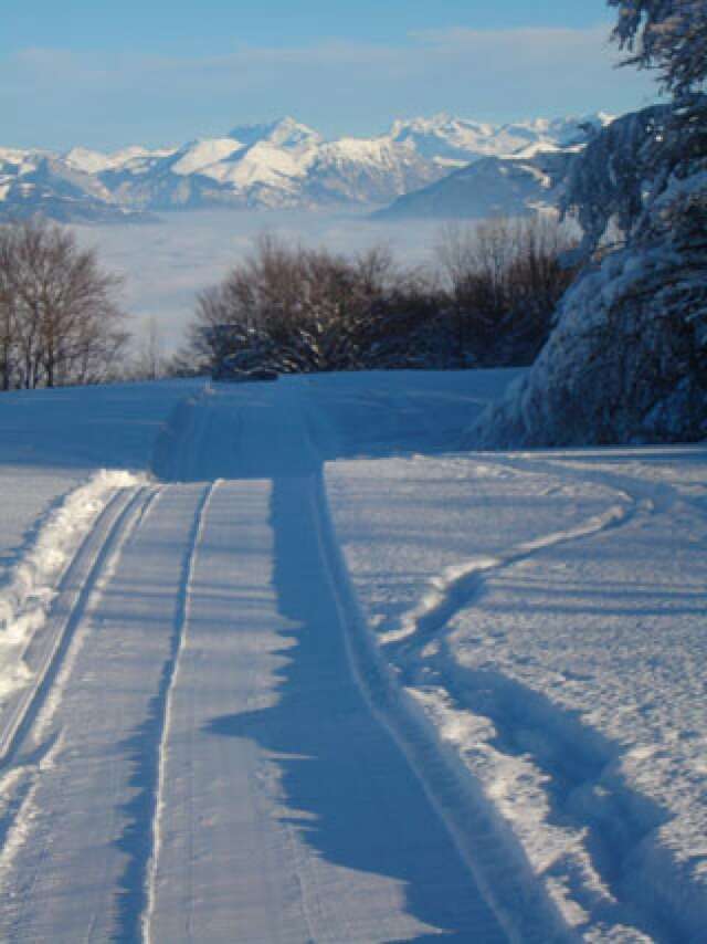 Ski de fond à la Croisette - Piste rouge - Col