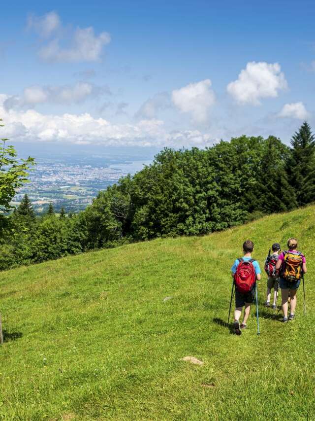 Boucle pédestre : Balcon paysager du Téléphérique