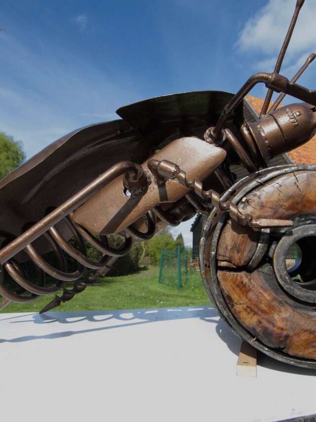 Le rallye des bestioles au Musée de la vie rurale