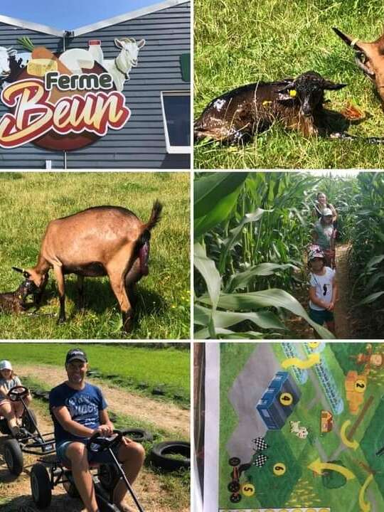 Activités d'été à la ferme des Récollets