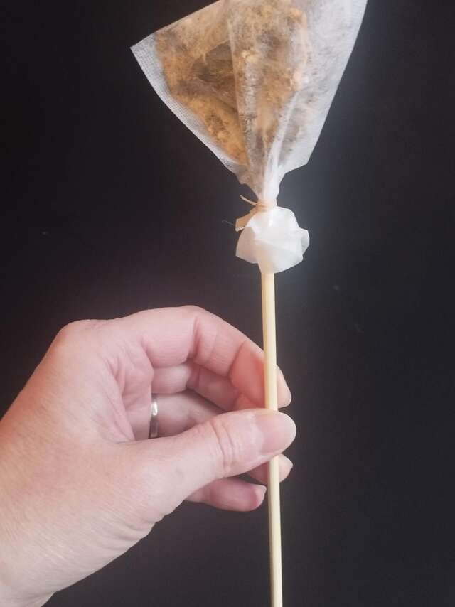 Atelier création de sucette à infuser avec chuchotements de fleurs