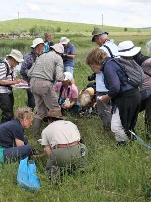 Sciences Nath' en Aubrac